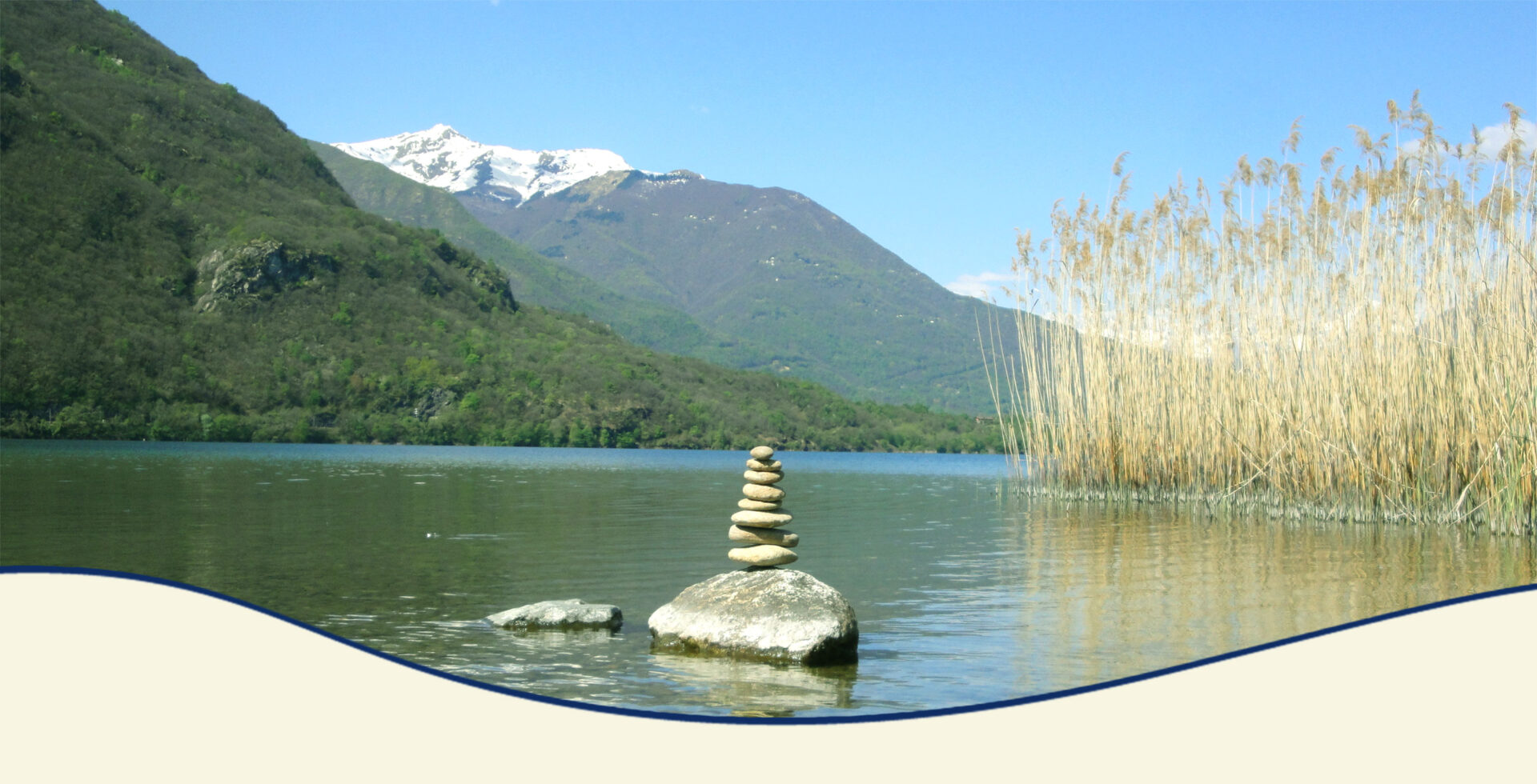 SYNAPSE INSTITUT für SYSTEMISCHE WEITERENTWICKLUNG bietet systemische Supervision, Teamentwicklung, Organisationsentwicklung und systemische Weiterbildungen.